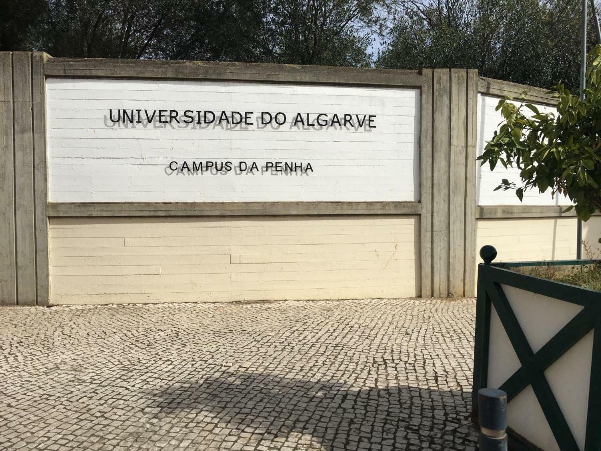 Casa Do Marinheiro Daire Faro Dış mekan fotoğraf